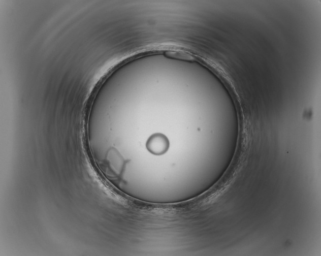 X0000114400989200911061534