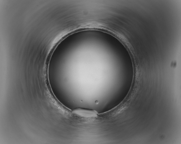 X0000114400990200911061534