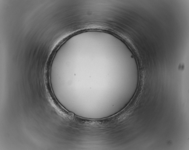 X0000114400991200911061534