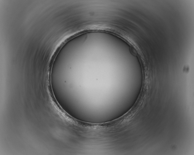 X0000114400992200911061534