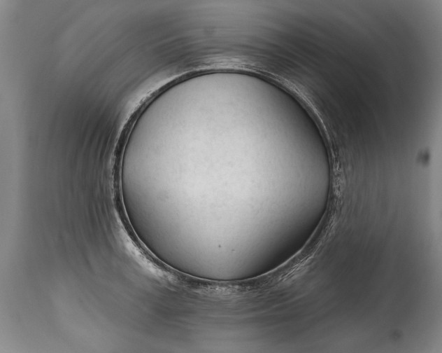 X0000114400995200911061534