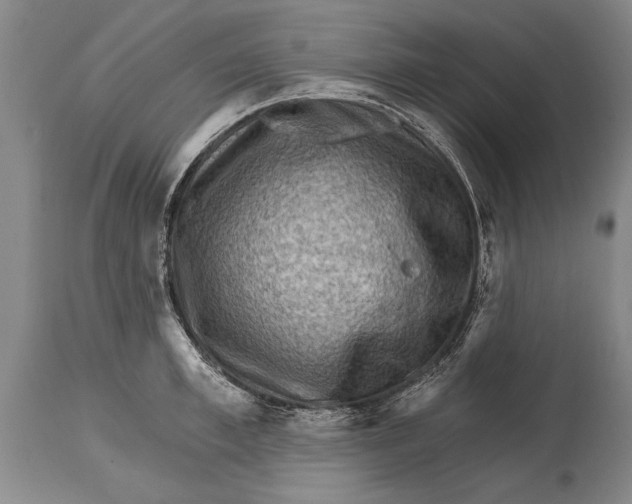 X0000114400997200911061533