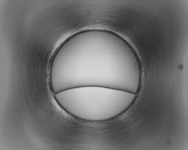 X0000114400998200911061533