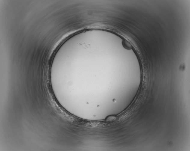 X0000114401000200911061533