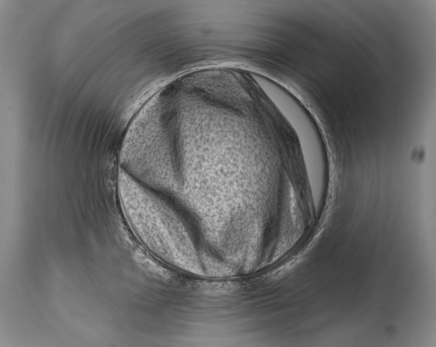 X0000114401001200911061533