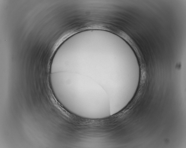 X0000114401002200911061533