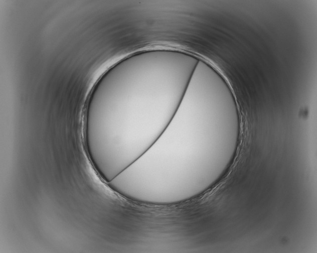 X0000114401003200911061533