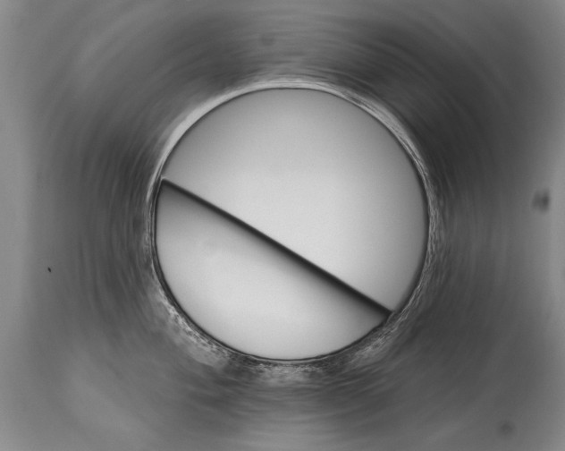 X0000114401004200911061533