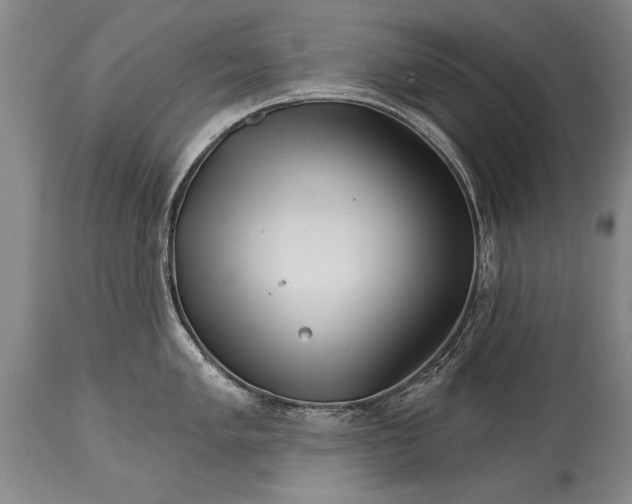 X0000114401005200911061533