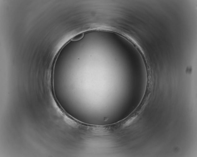 X0000114401007200911061533