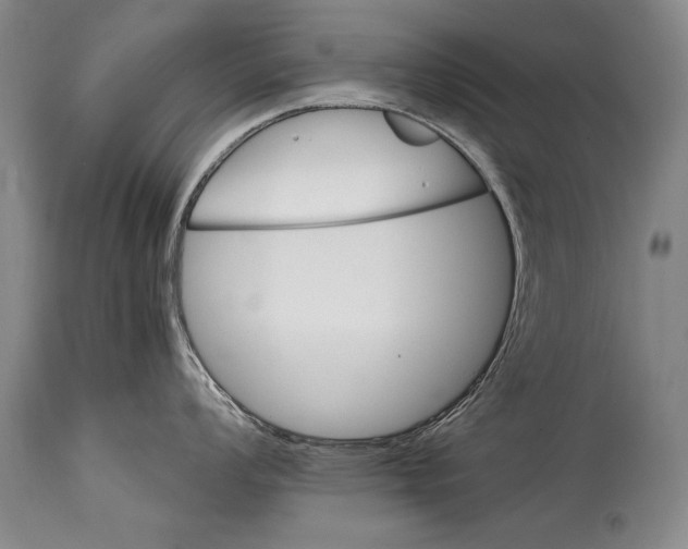 X0000114401008200911061533