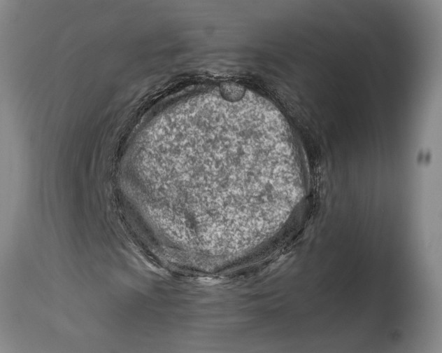 X0000114401009200911061533