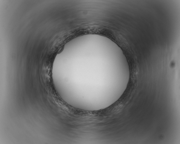 X0000114401010200911061533