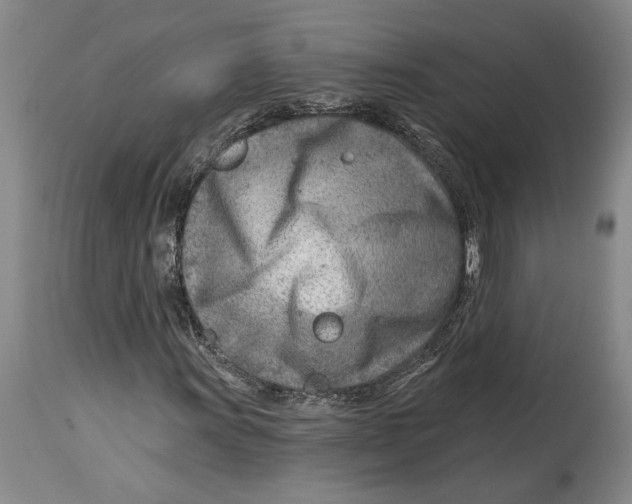 X0000114401011200911061533