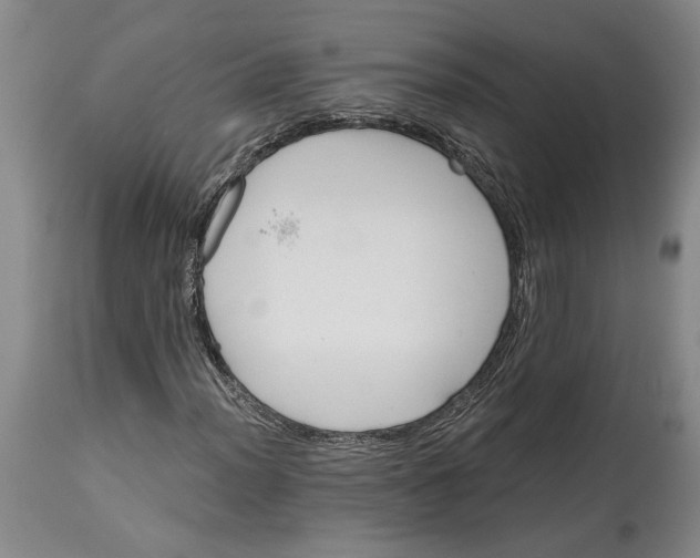 X0000114401012200911061533