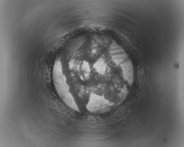 X0000114401013200911061533