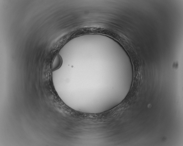 X0000114401014200911061533