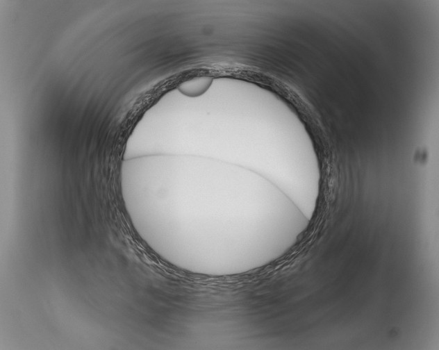 X0000114401016200911061533