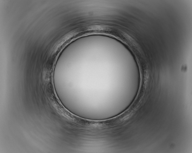 X0000114401017200911061533