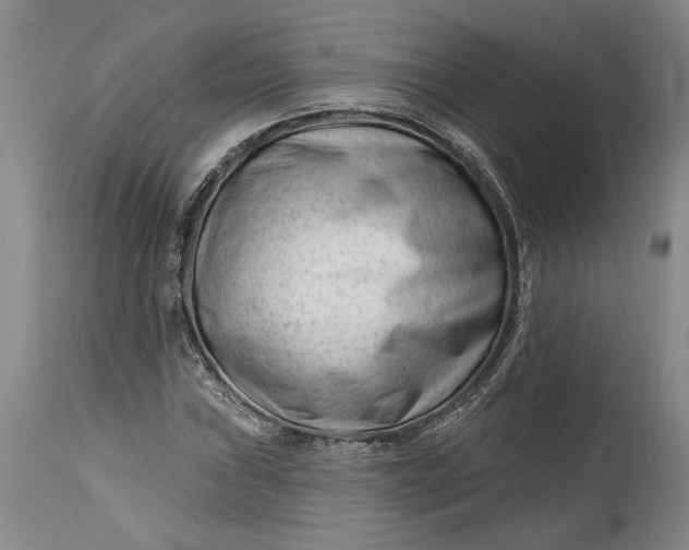 X0000114401019200911061533