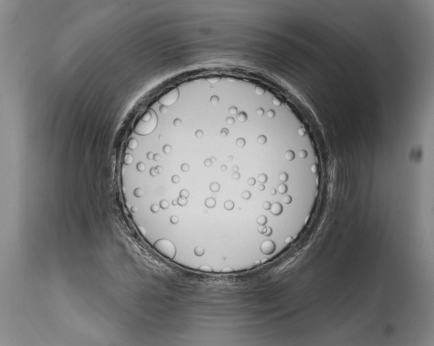 X0000114401021200911061533