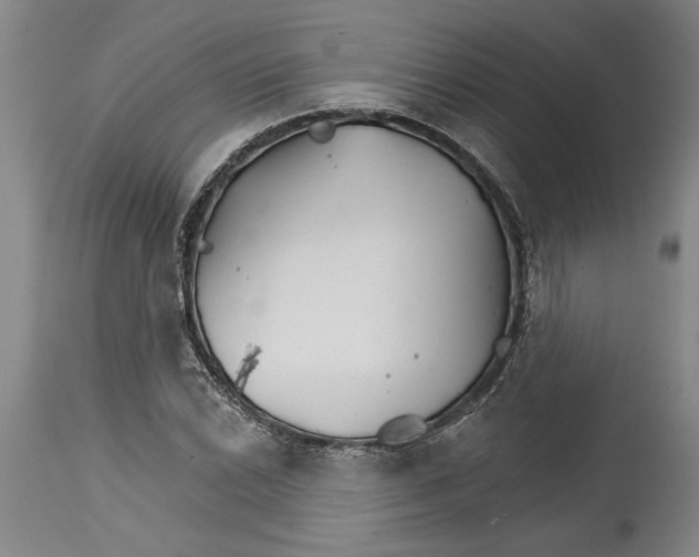 X0000114401022200911061533