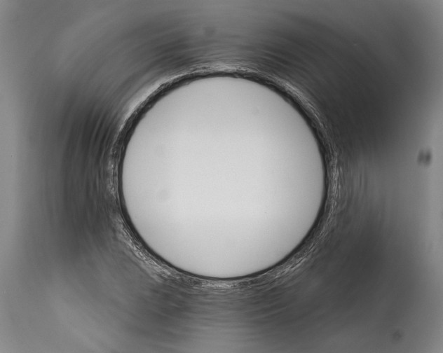 X0000114401023200911061533