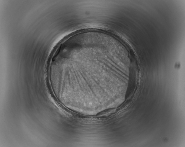 X0000114401024200911061533