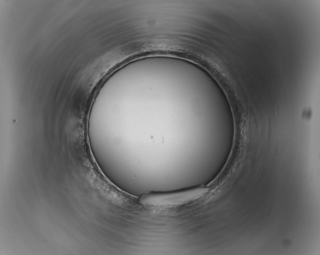 X0000114401025200911061533