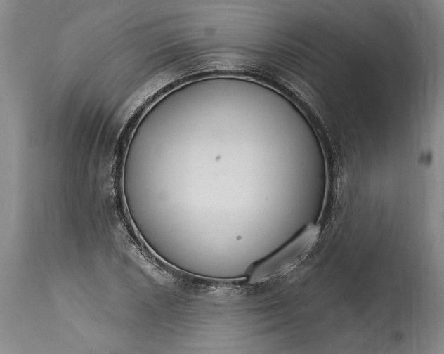 X0000114401026200911061533