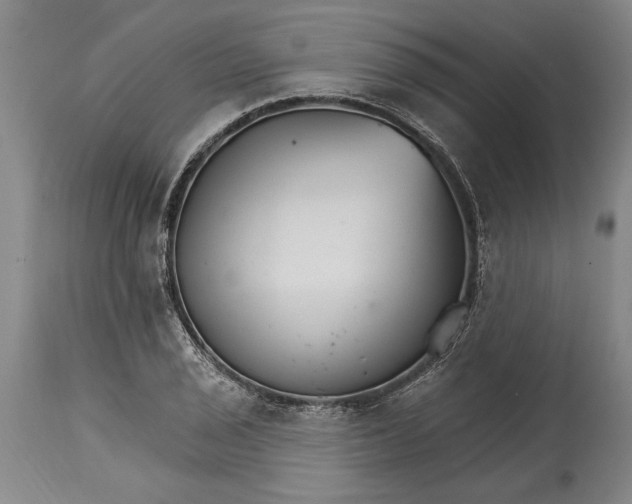 X0000114401029200911061533