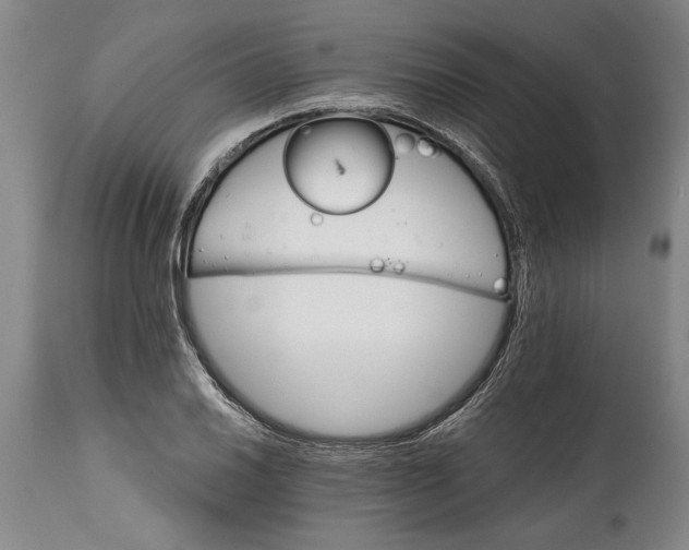 X0000114401030200911061533