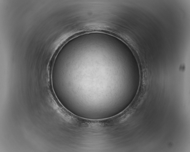 X0000114401031200911061533