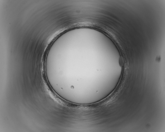 X0000114401034200911061533