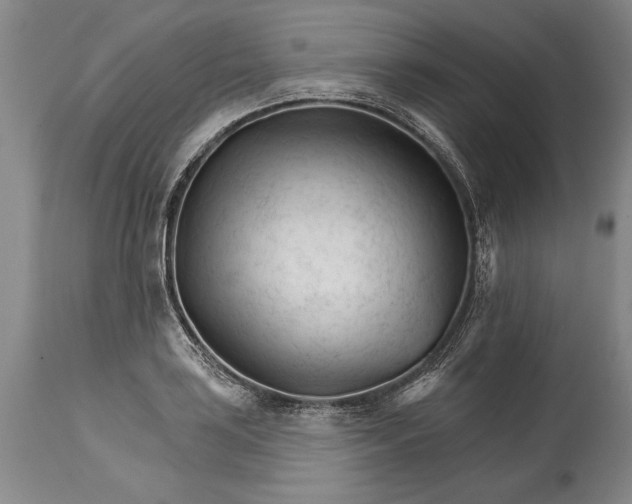 X0000114401035200911061533