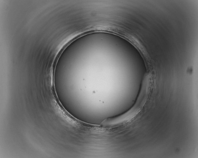 X0000114401036200911061533