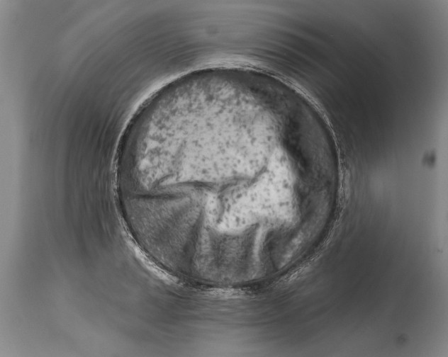 X0000114401037200911061533