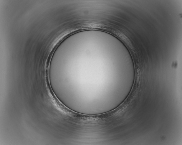 X0000114401039200911061533