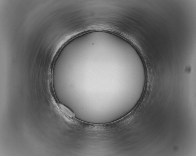 X0000114401040200911061533