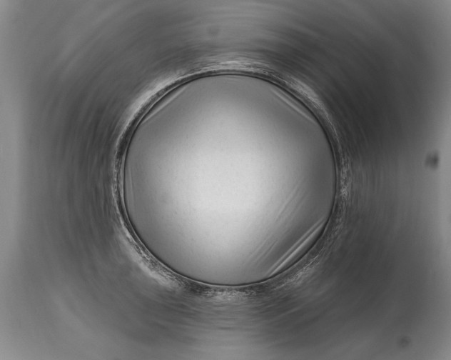 X0000114401043200911061533