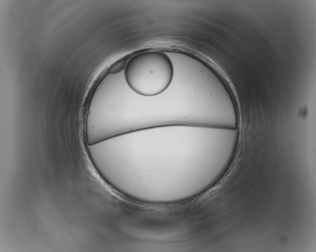 X0000114401045200911061533