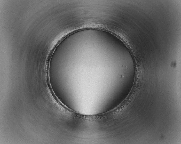 X0000114401046200911061533