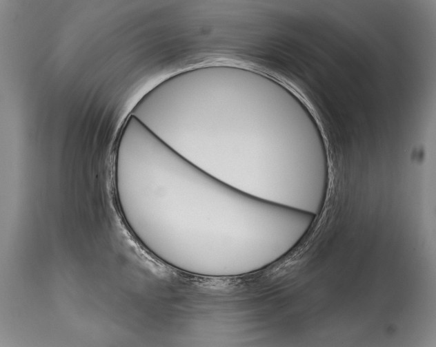 X0000114401048200911061533