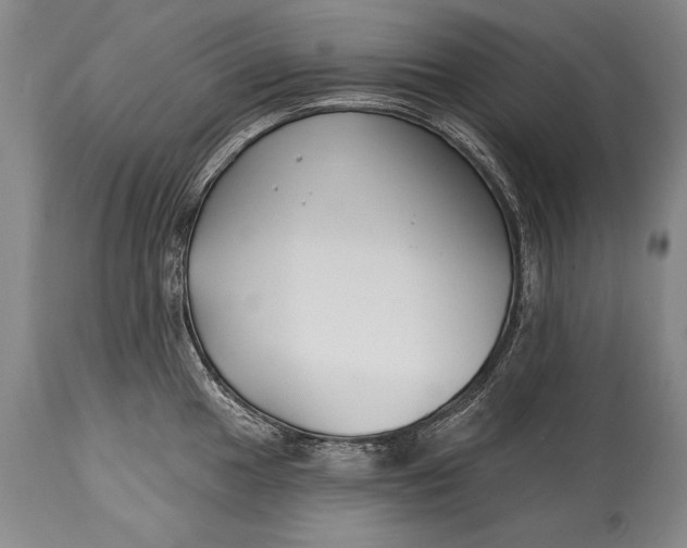 X0000114401049200911061533