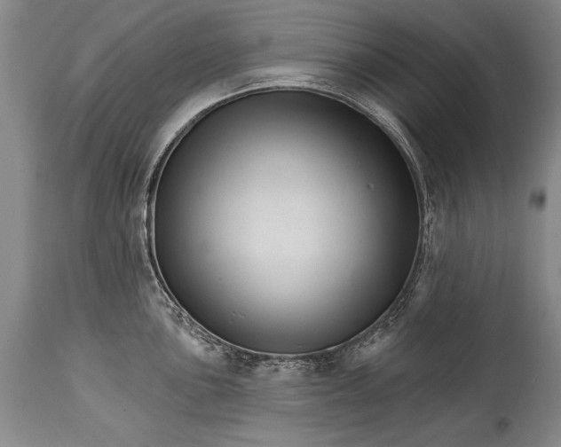 X0000114401051200911061533