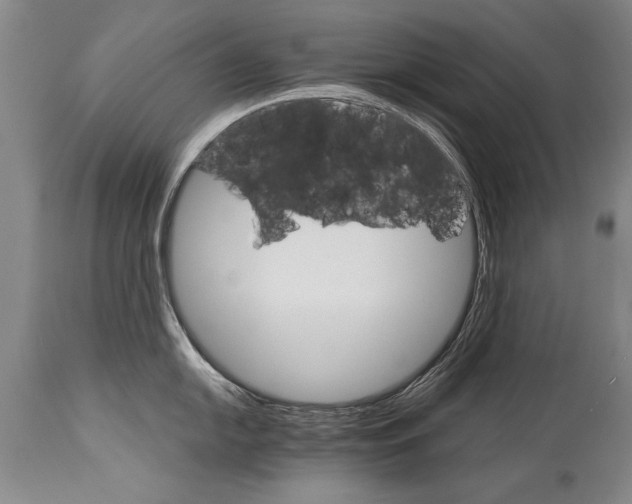 X0000114401054200911061533