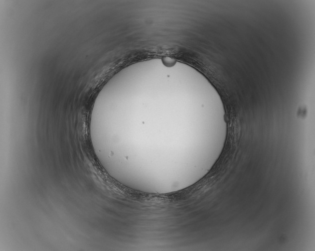 X0000114401058200911061533