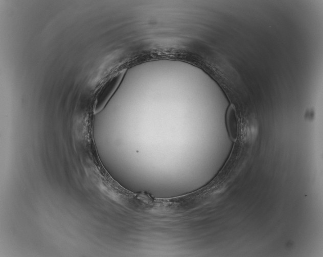 X0000114401060200911061533