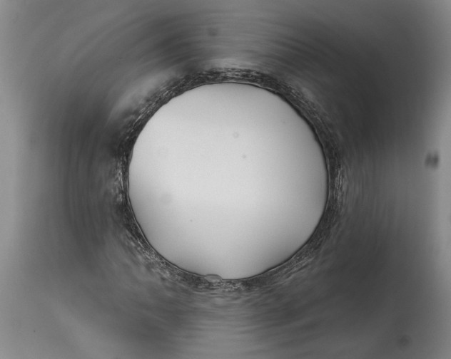 X0000114401062200911061533