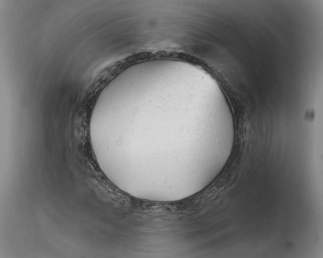 X0000114401063200911061533